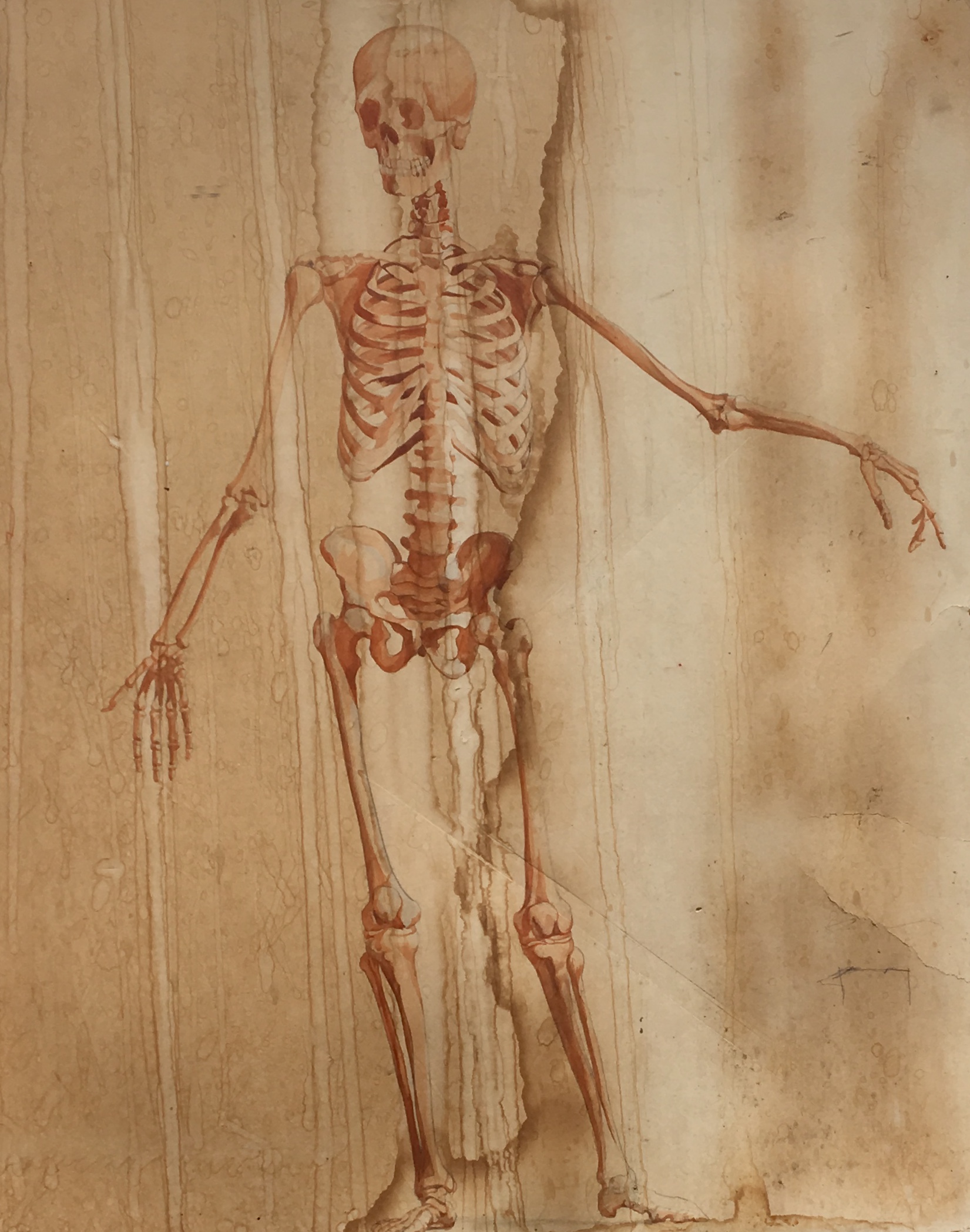 Read more about the article Drawing the Body and Spirit: Happy Halloween from The Ozols Collection