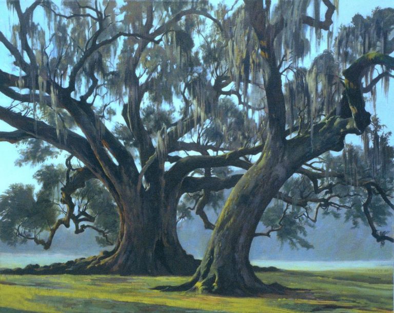 Read more about the article Drawing Workshop Announcement: The Anatomy of Trees with Auseklis Ozols, President of the Ozols Collection.  Please join us for a two morning session in New Orleans City Park under the 800 year old oak tree; April 8-9,(Thursday and Friday Morning) 10am-12pm.